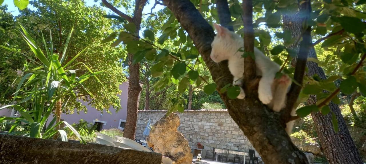 Azienda Agrituristica La Torretta Farm stay *