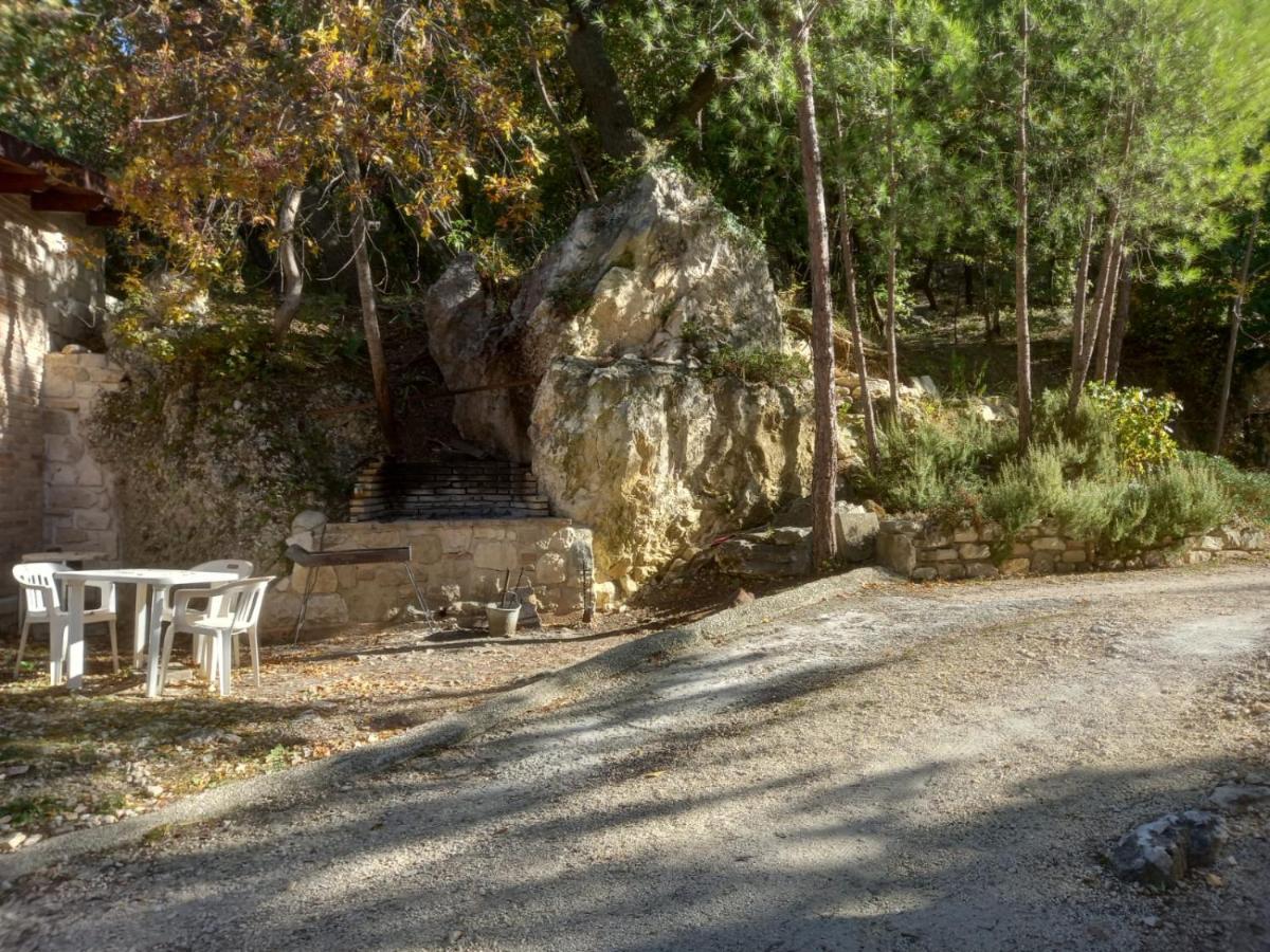 Azienda Agrituristica La Torretta Farm stay *