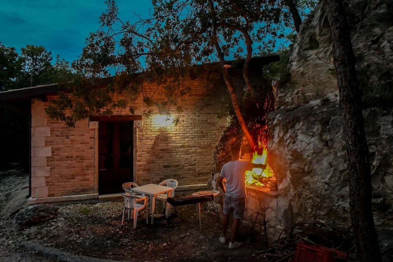 Azienda Agrituristica La Torretta Farm stay Tocco da Casauria